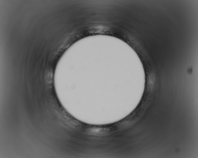 X0000115740657200912241648