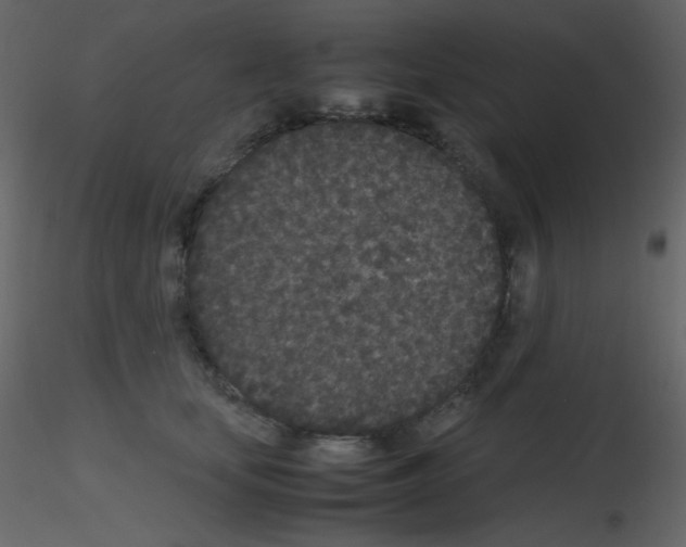 X0000115740659200912241648