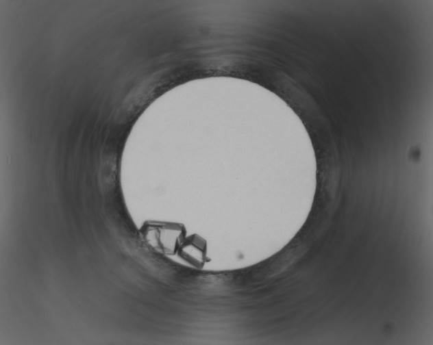 X0000115740660200912241648