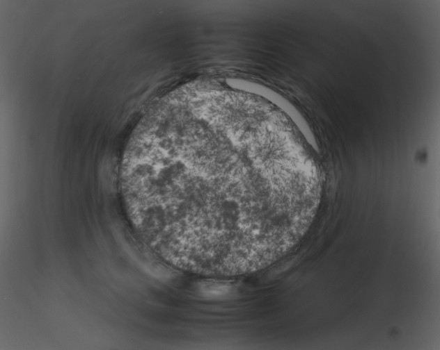 X0000115740661200912241648