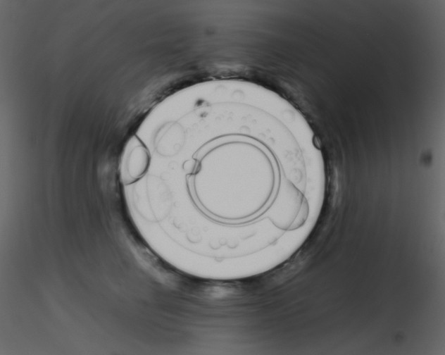 X0000115740662200912241648