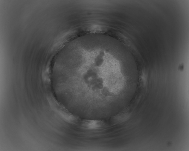 X0000115740663200912241648