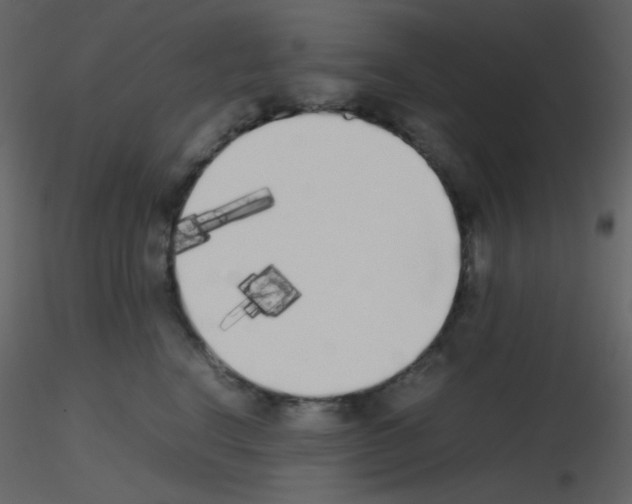 X0000115740664200912241648