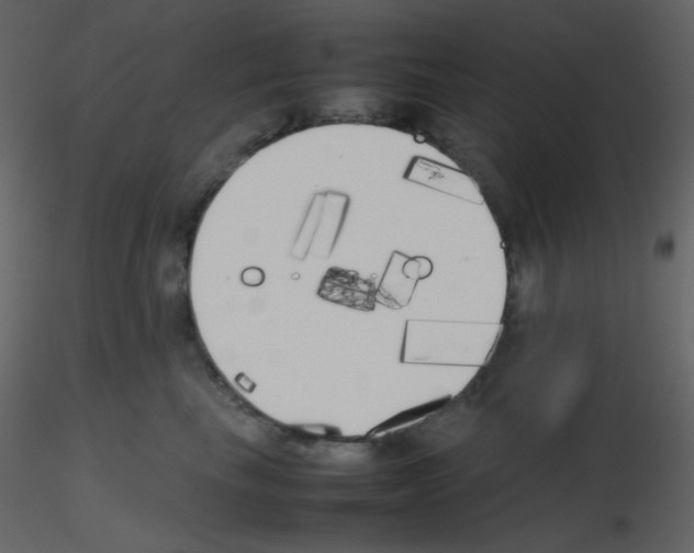 X0000115740665200912241648