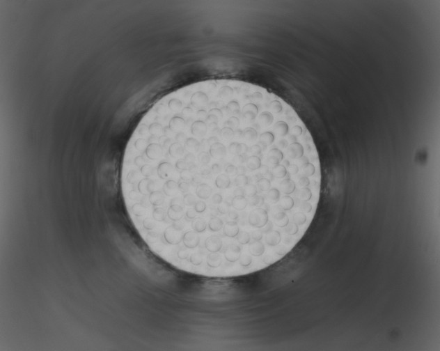 X0000115740666200912241648