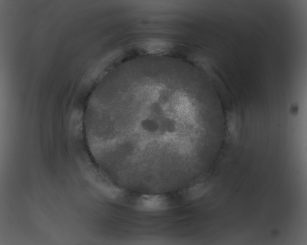 X0000115740667200912241648