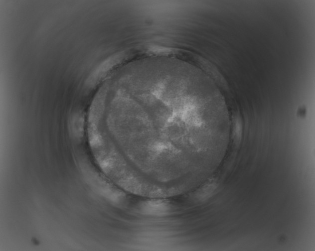 X0000115740668200912241648