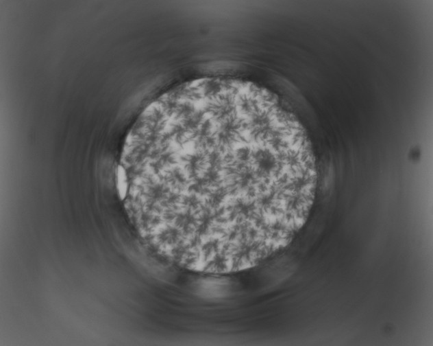 X0000115740669200912241648