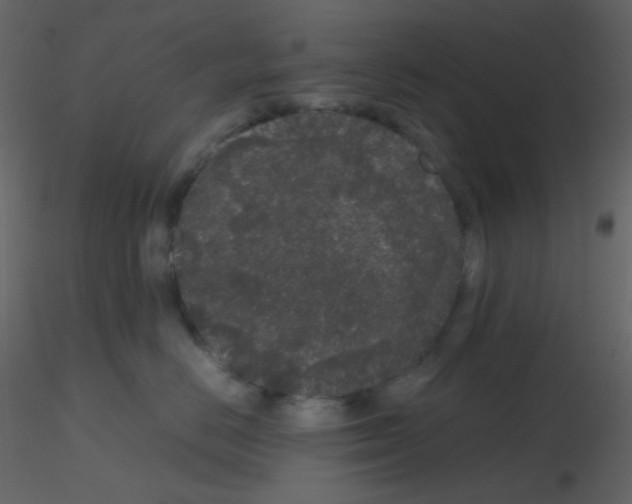 X0000115740670200912241648