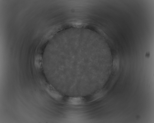 X0000115740671200912241648