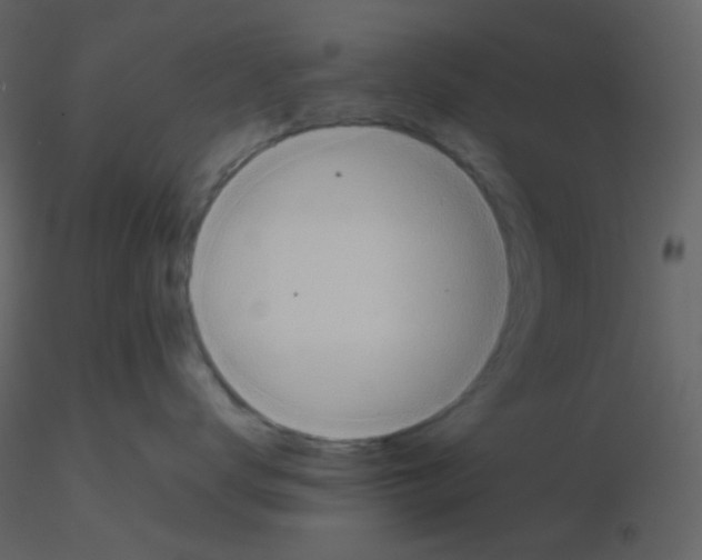 X0000115740672200912241648