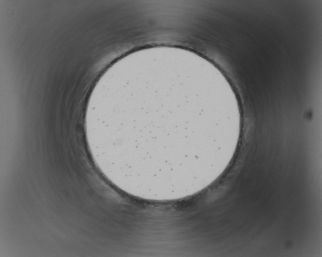 X0000115740673200912241648