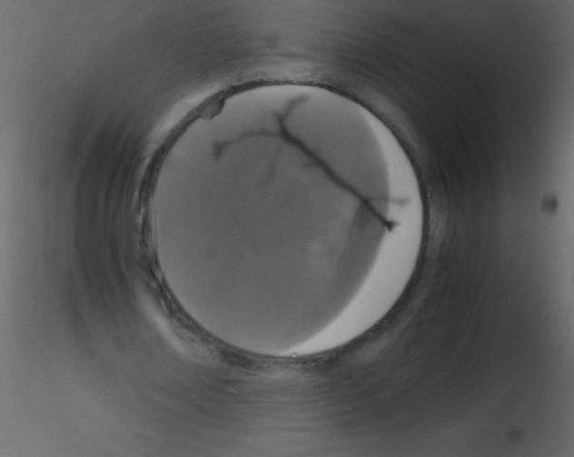 X0000115740674200912241648