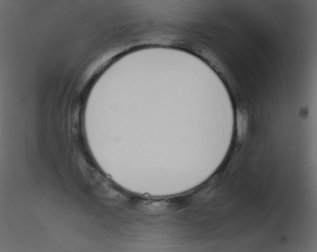 X0000115740675200912241648