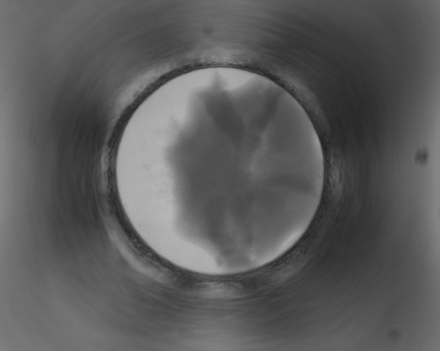 X0000115740678200912241648