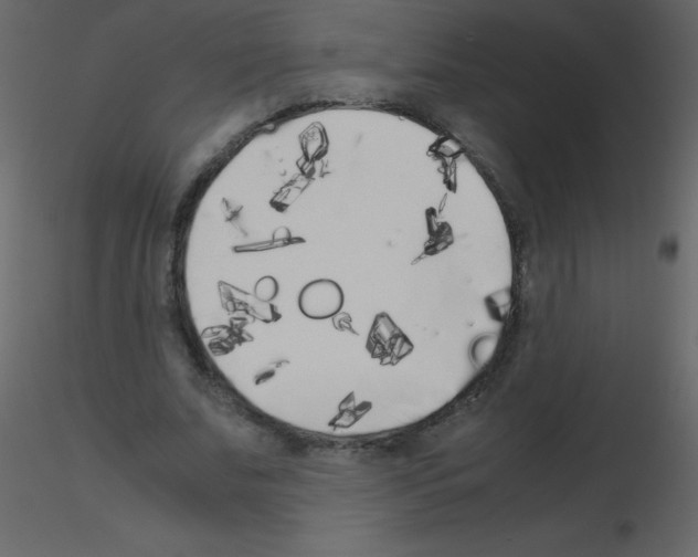 X0000115740679200912241647