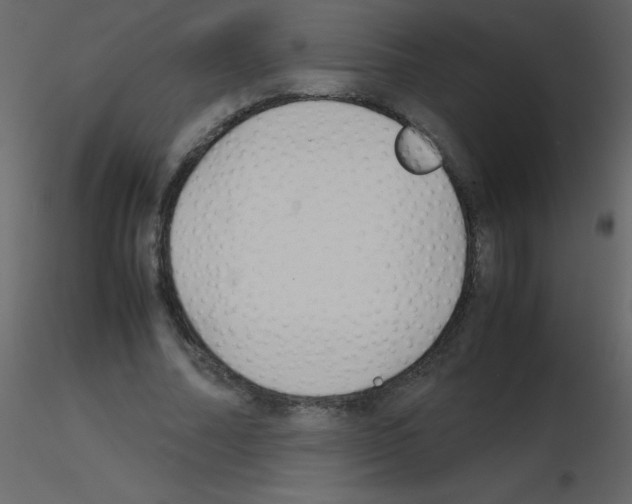 X0000115740682200912241647