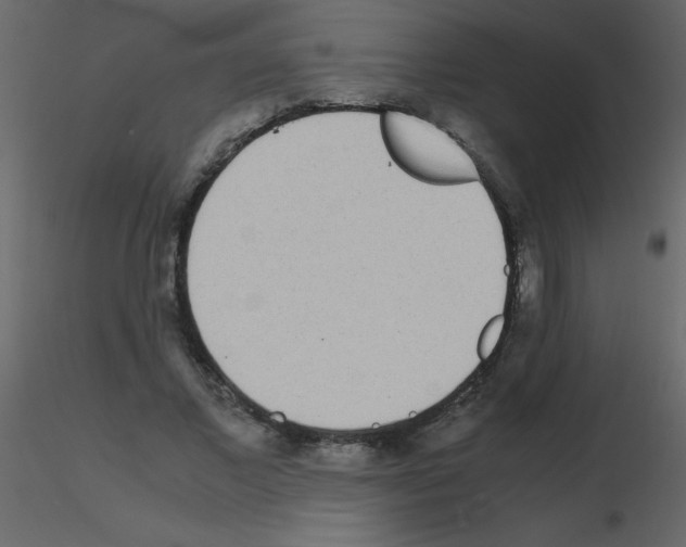 X0000115740685200912241647