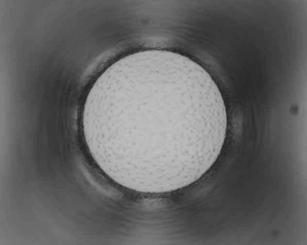 X0000115740686200912241647