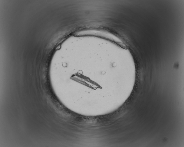 X0000115740687200912241647