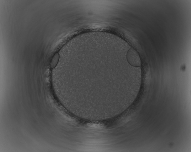 X0000115740689200912241647