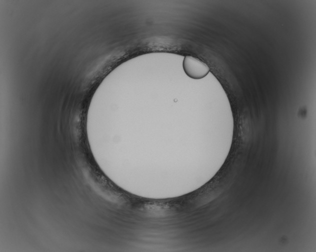 X0000115740690200912241647