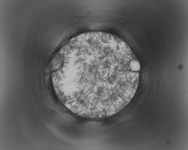 X0000115740691200912241647