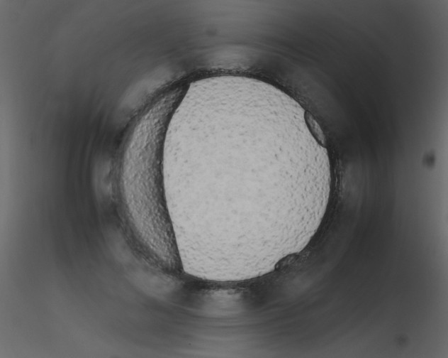 X0000115740692200912241647