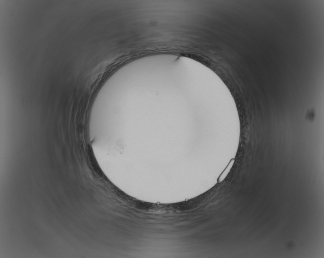 X0000115740693200912241647