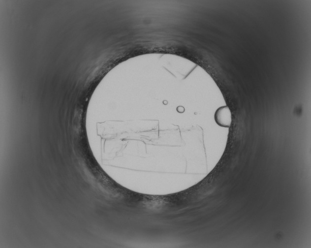 X0000115740695200912241647