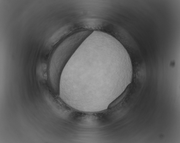 X0000115740696200912241647