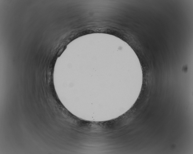 X0000115740697200912241647