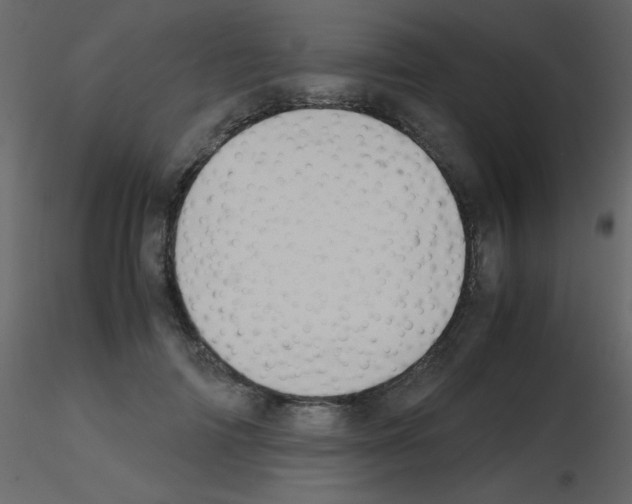 X0000115740698200912241647