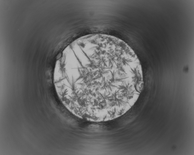 X0000115740699200912241647