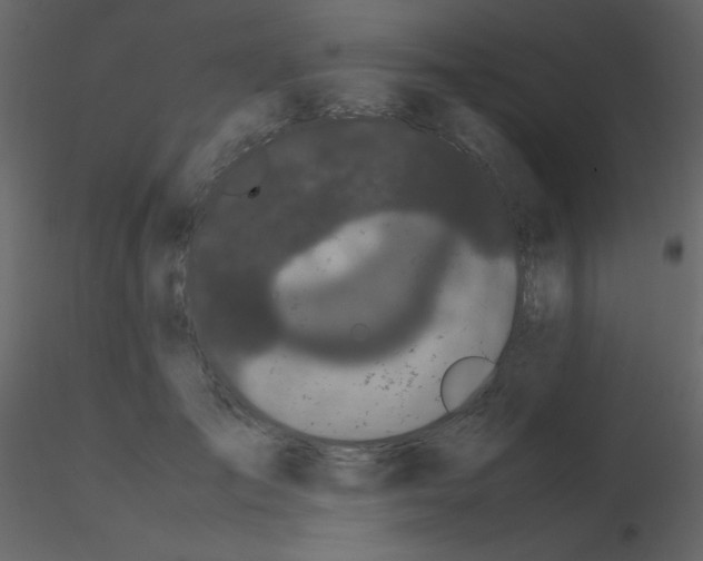 X0000115740701200912241647