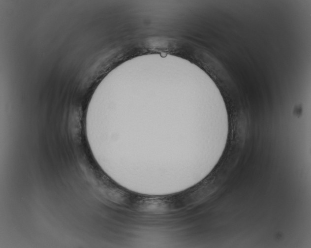 X0000115740702200912241647