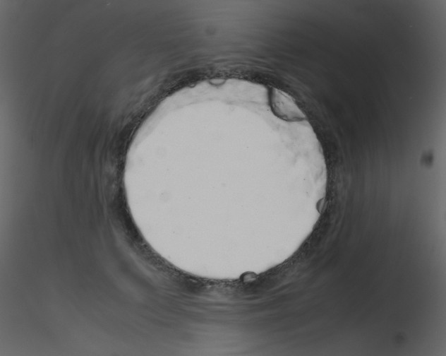 X0000115740703200912241647