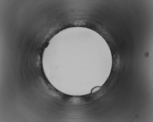 X0000115740704200912241647