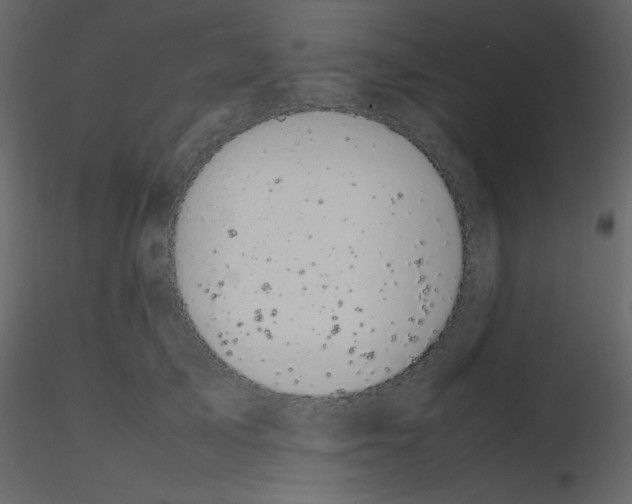 X0000115740705200912241647