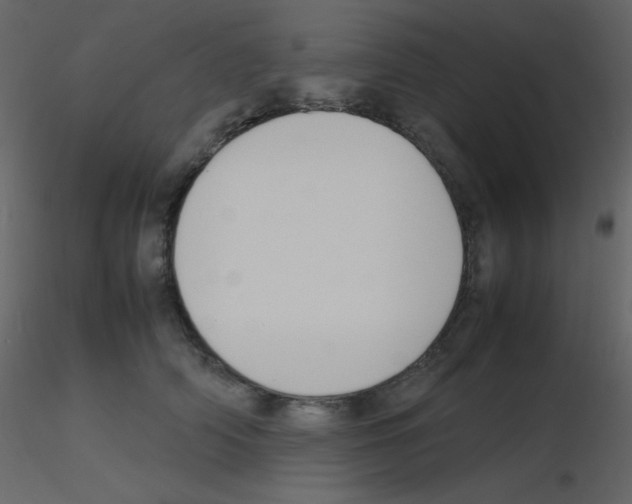 X0000115740706200912241647