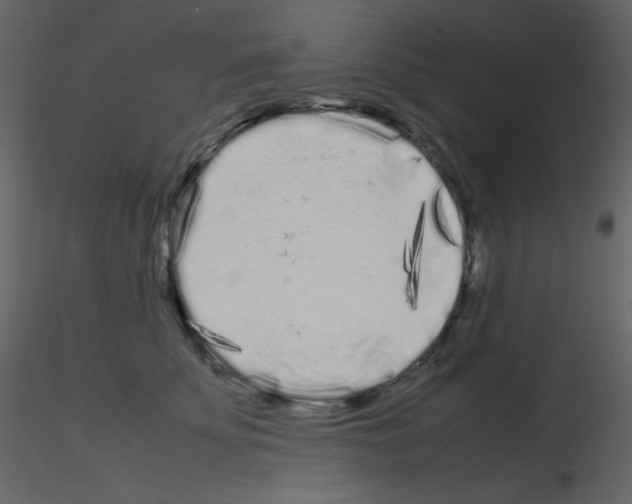 X0000115740707200912241647