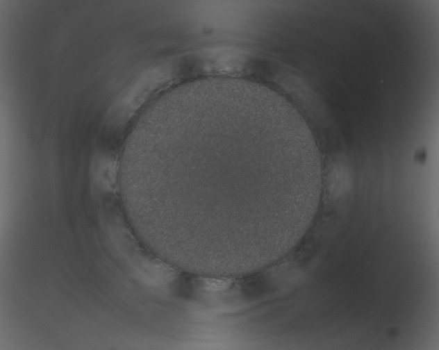 X0000115740709200912241647