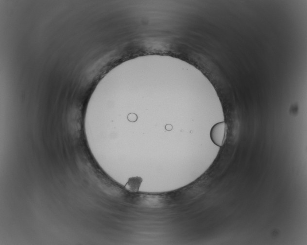 X0000115740710200912241647