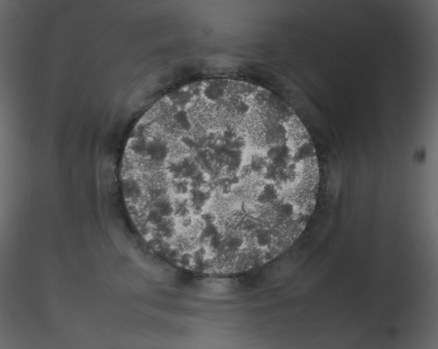 X0000115740711200912241647