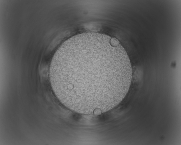 X0000115740713200912241647