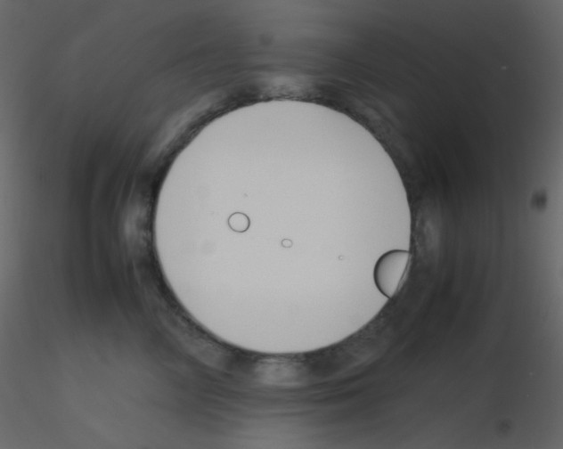 X0000115740714200912241647