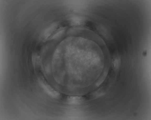 X0000115740716200912241647