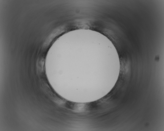 X0000115740717200912241647