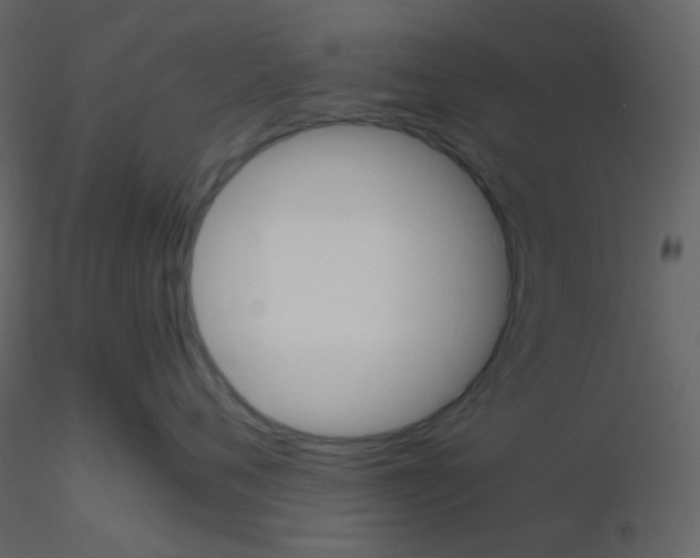 X0000115740720200912241647