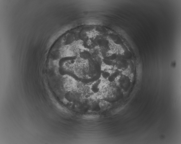 X0000115740721200912241646